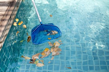 Cleaning swimming pool of fallen leaves with blue skimmer