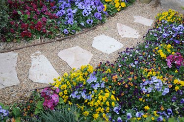 Walkway at a botanical garden.