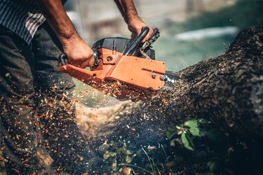 Close-up portrait of lumberjack cutting tree in the garden with gasoline chainsaw. splinters in different directions