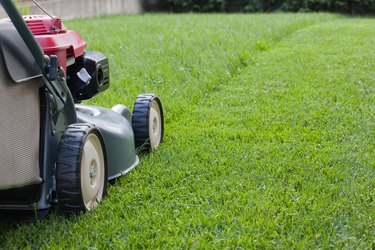 Mowing the grass