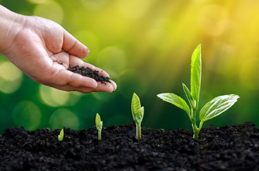 How to Compost in a 5-Gallon Bucket