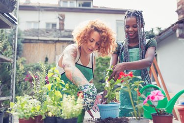 What's the Best Type of Sand for a Vegetable Garden?