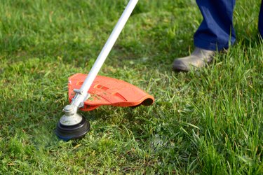 Mowing the grass