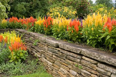 Flower Garden with Stone Wall