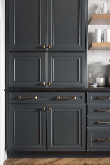 dark Raised Panel Cabinetry in kitchen with brass pulls