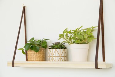 DIY wood and leather hanging plant shelf