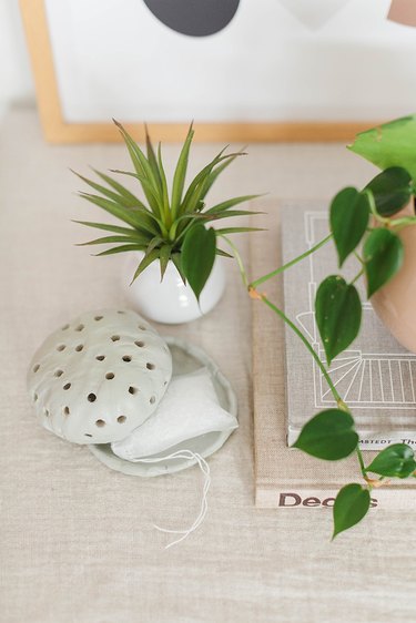 Air-dry clay diffuser on shelf with plants and boks