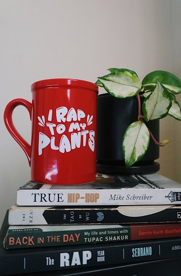 I Rap To My Plants Mug on a stack of books