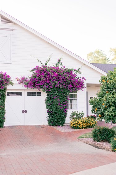 white garage door surrounded by pink flowers