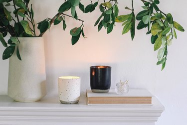 Black and white ceramic candles on shelf with plant in cream vase