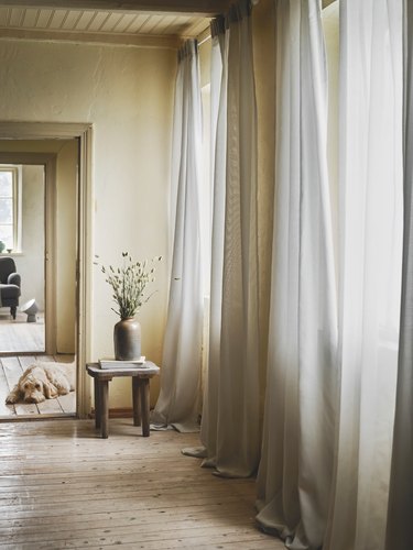 Gunrid Air-Purifying Curtains in room with dog