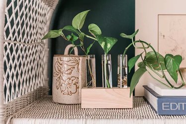 Propagate plants with this handy wood and glass holder.