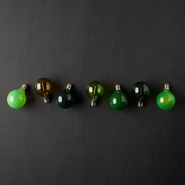 Terrain color story bulbs green
