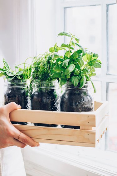 Place indoor herb garden next to a sunny window