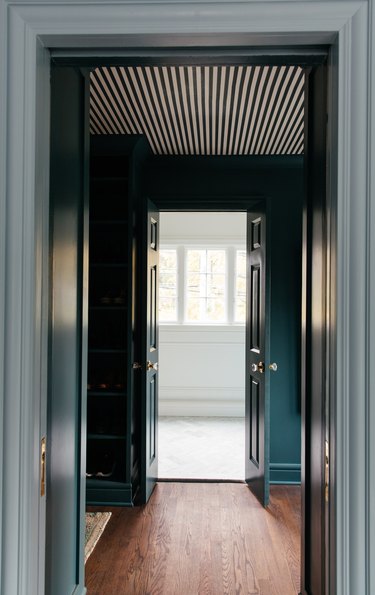 Small dark teal bathroom doors leading to white bathroom