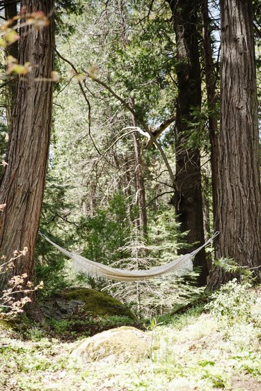 A hammock