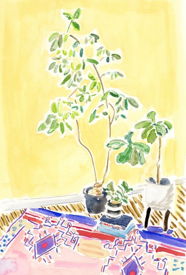 illustration of rug and plants against a bright yellow wall
