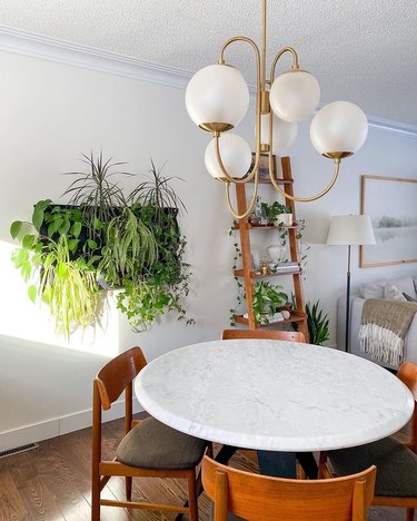 dining area with wall covered in live plants and shelf unit with live plants