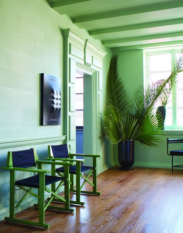 room with chairs and plant with green walls