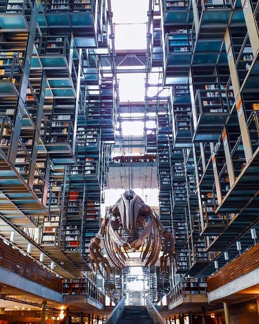 picture of bookshelves at the biblioteca vasconcelos in mexico city