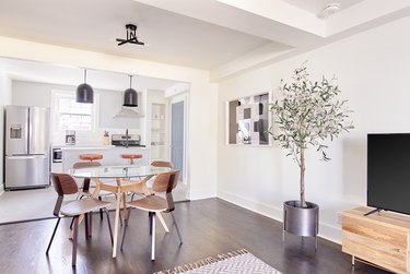 small dining table and chairs with large  plant