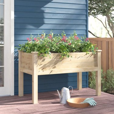 An elevated wooden planter box against a blue house