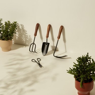 garden tools and plants