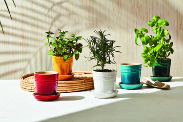 colorful stoneware herb planter pots
