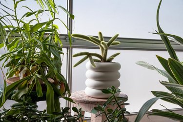 large stacking planter