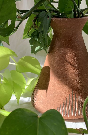 terra cotta planter with plant