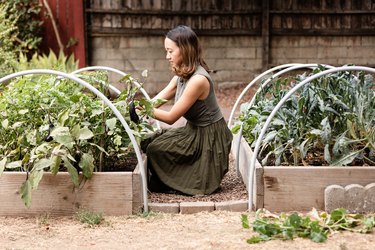 woman weeding in garden