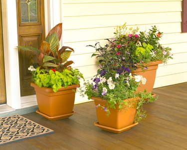 Flower Planters