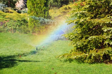 Rainbow from sprinkler drops