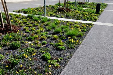 parking in the parking lot at the flowerbed in the shape of a lane with trimmed ornamental grasses. Concrete stops for vehicles when parking. the wheel rests on the concrete sleeper and stops it