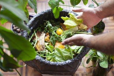 man using leftover organic food for compost avoiding waste and recycling