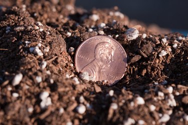 US Penny Lost and Found on Ground