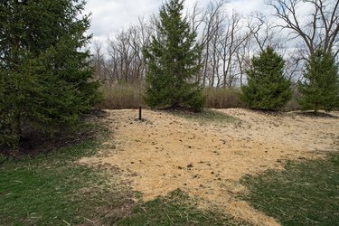 Newly Seeded Landscape Area Covered With Straw