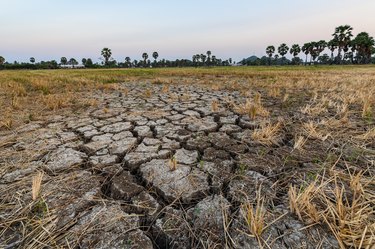 Dry cracked soil ground texture in fields