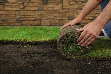 The Average Size of a Piece of Sod