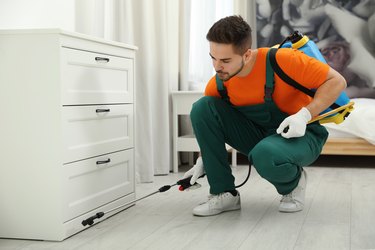 Pest control worker spraying pesticide near chest of drawers indoors.
