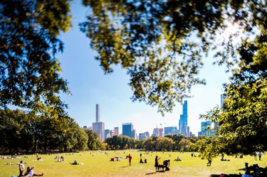 Central Park and the New York Skyline on a clear Summer Day