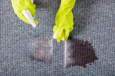 Removing stains from a carpet.