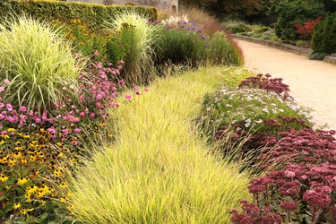 Beautiful garden with ornamental grasses and flowers