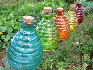 Colorful glass wasp traps hanging in a garden.