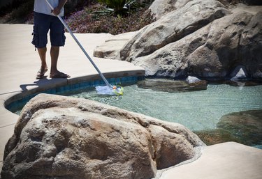 Man cleaning swimming pool with pool net.