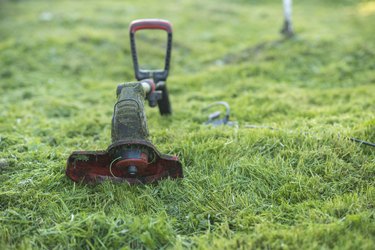 String trimmer lies on mown lawn middle of the yard