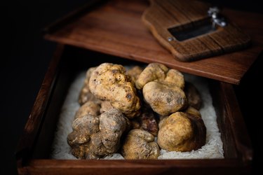 White Truffles in Wooden Box With Grater