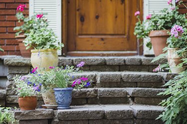 Potted plants with flowers on the steps of a house porch