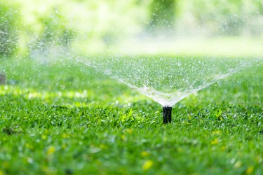 Impact Sprinkler – Ryan Knorr Lawn Care