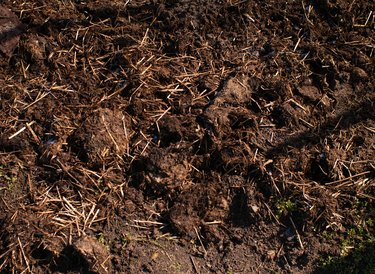 Land mixed with manure prepared for planting in the spring. Fertilized land with animal manure for better growth of young plants. Soil preparation for spring crops.